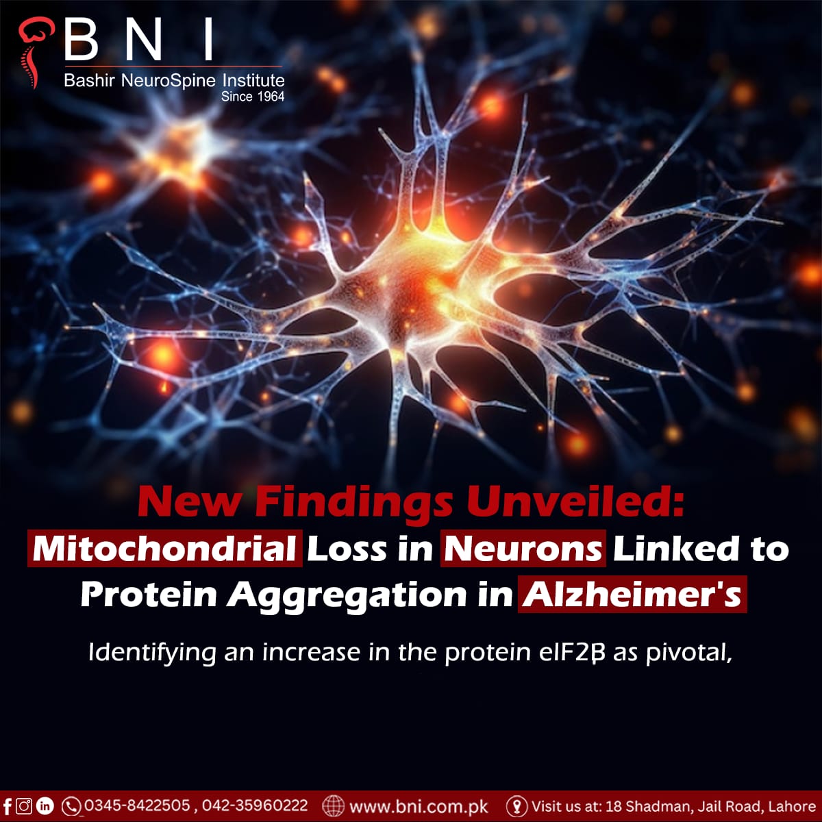 Breakthrough: Unraveling the Mechanisms of Protein Accumulation in ...